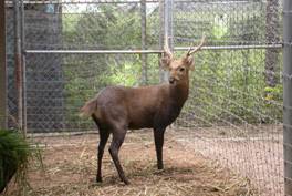 deer-farm_clip_image002_0000