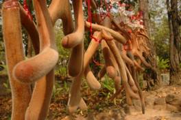 deer-farm_clip_image022